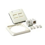 Intronics CAT5E UTP wall termination unit flush mountinCAT5E UTP wall termination unit flush mountin (JD1015)